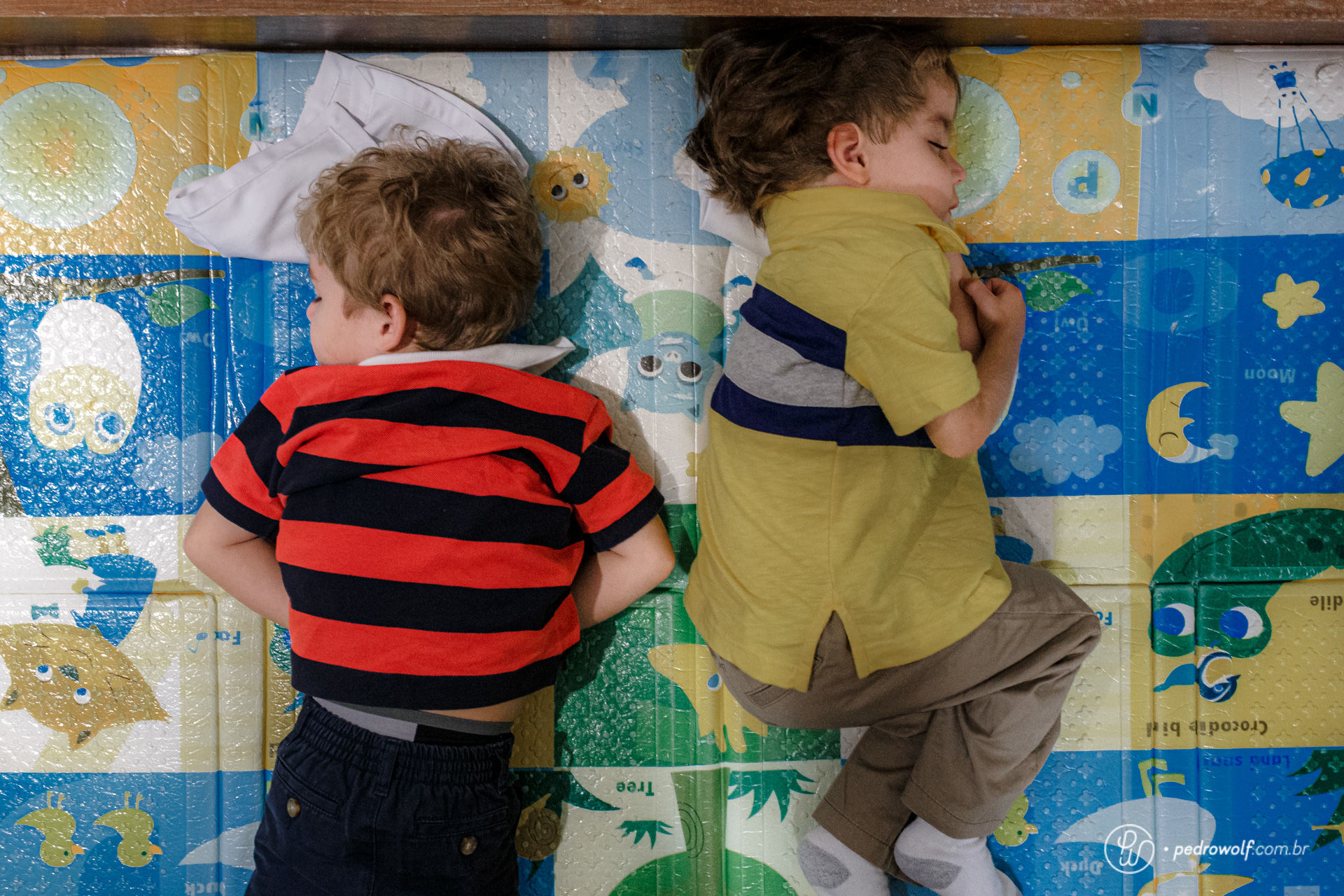 Foto Fotografia Noivado Elisa e Carlos - Imagem 35